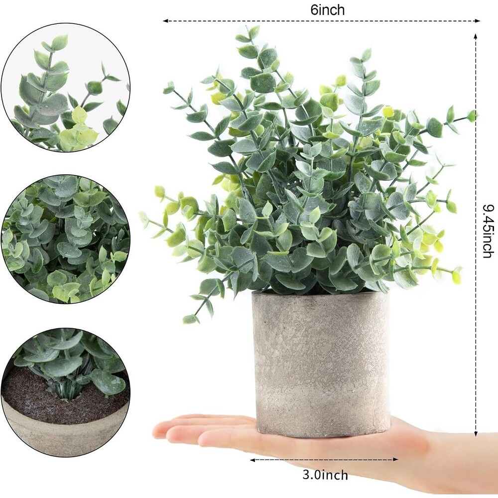 Coferset Potted Eucalyptus Plants - Sage Green (2 Pack)